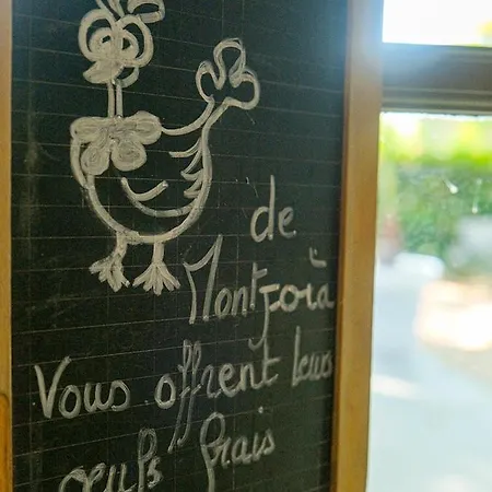 Montjoia * LʼIsle-sur-la-Sorgue