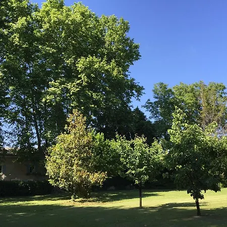 Montjoia Frühstückspension LʼIsle-sur-la-Sorgue