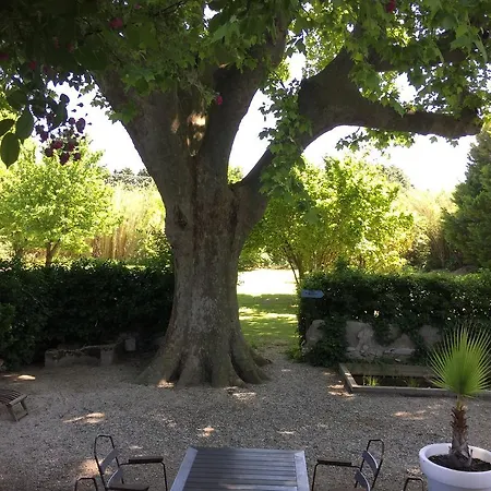 Montjoia