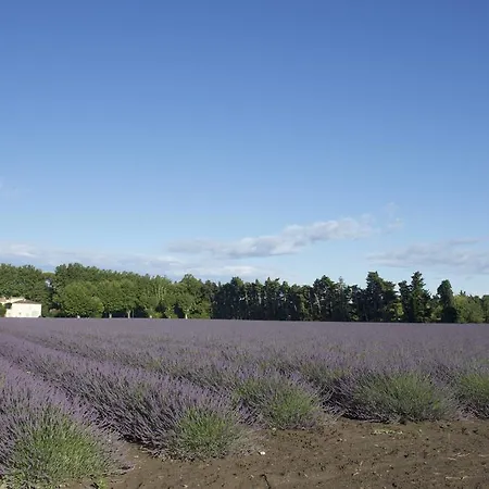 Montjoia